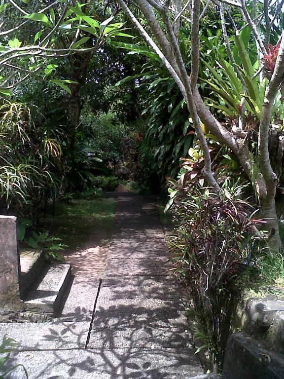 אובוד Arjana Bungalows 2 מראה חיצוני תמונה
